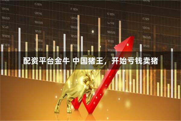 配资平台金牛 中国猪王，开始亏钱卖猪